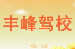 从驾照到生活 一次穿越城市的温情旅程